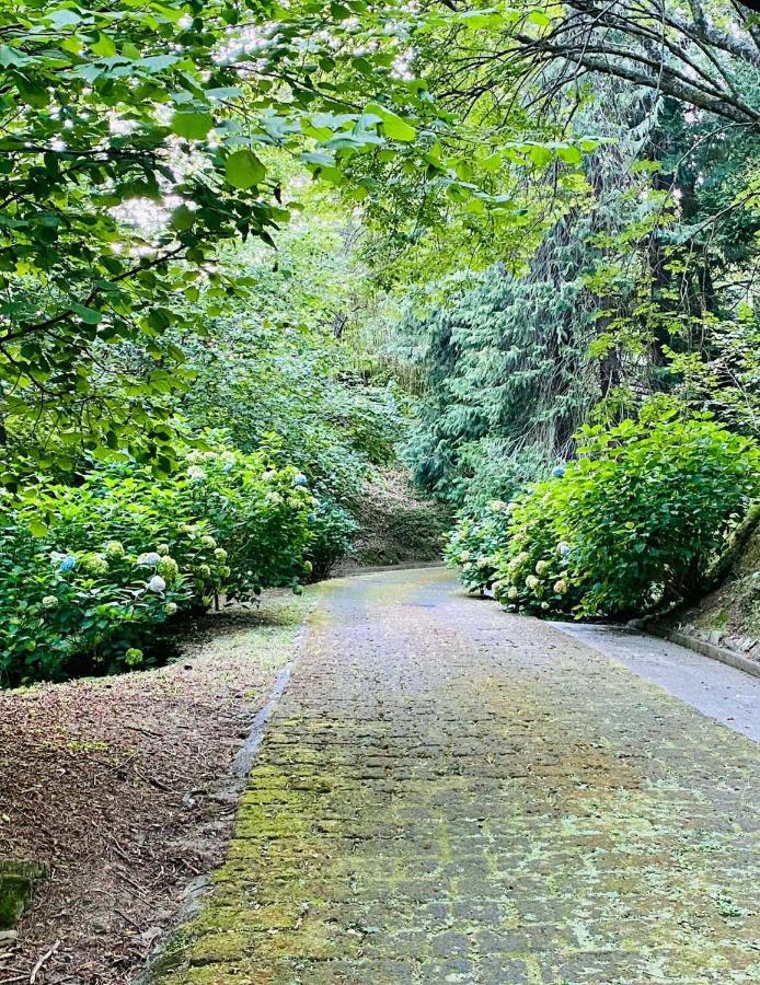 Apartmán Il Bosco Di Campo Marzano Sunlight Borzonasca Exteriér fotografie