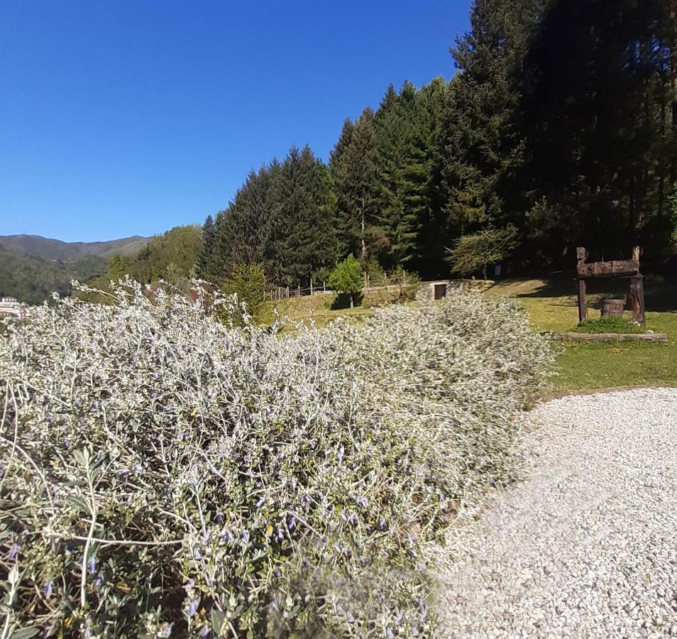 Apartmán Il Bosco Di Campo Marzano Sunlight Borzonasca Exteriér fotografie