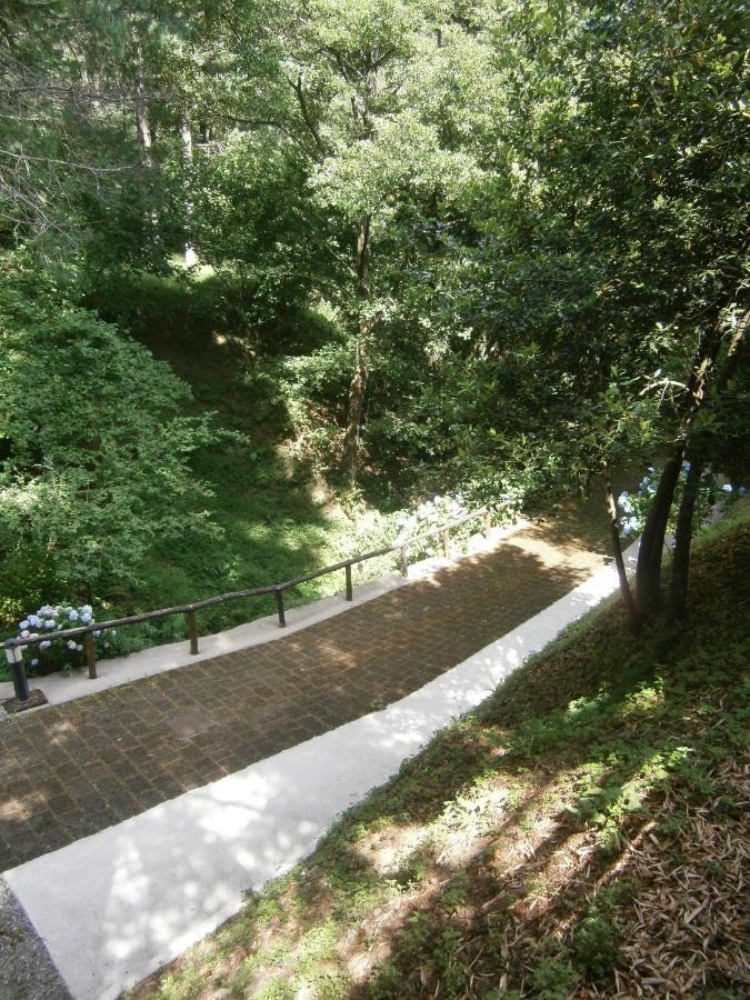 Apartmán Il Bosco Di Campo Marzano Sunlight Borzonasca Exteriér fotografie