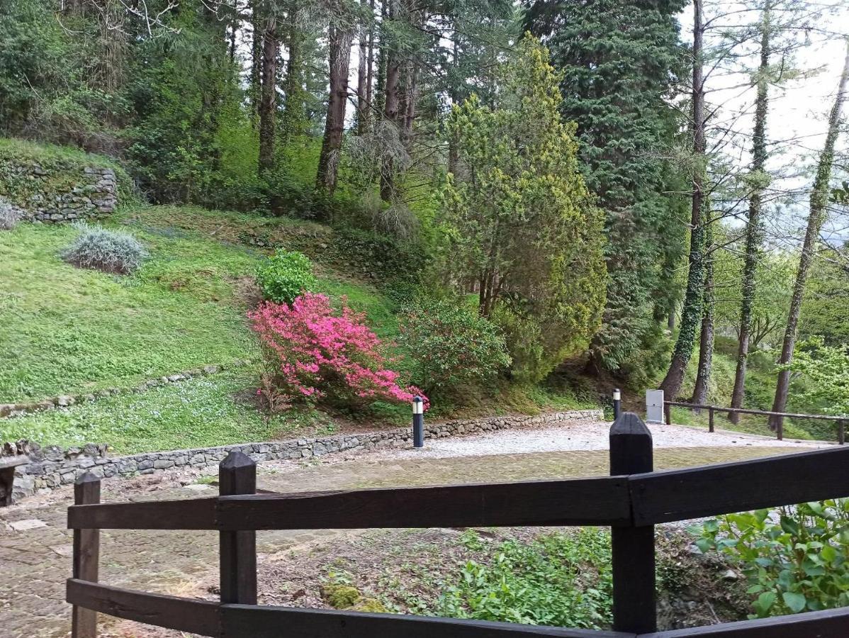 Apartmán Il Bosco Di Campo Marzano Sunlight Borzonasca Exteriér fotografie