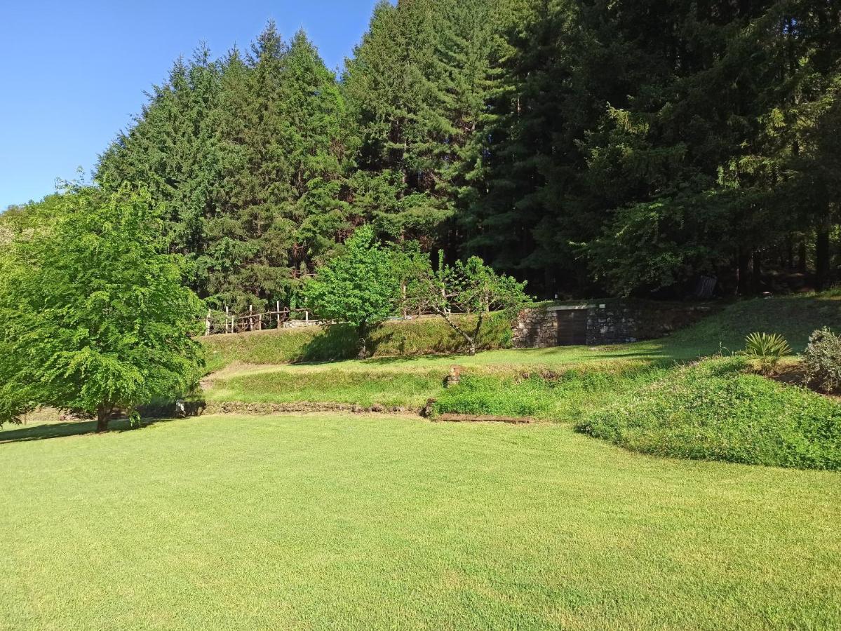 Apartmán Il Bosco Di Campo Marzano Sunlight Borzonasca Exteriér fotografie